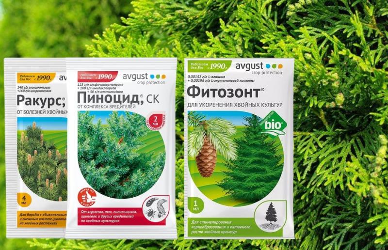 Весенняя обработка хвойников