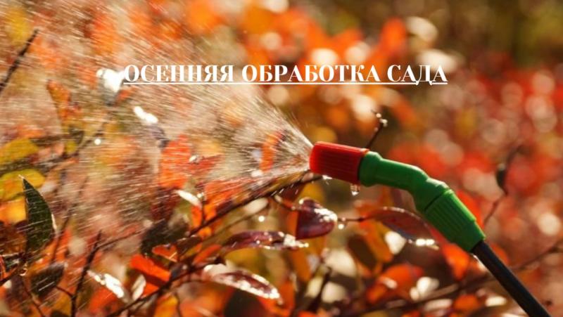 Осенняя обработка сада