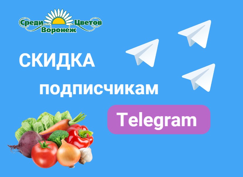 Скидка подписчикам Telegram