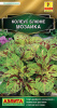 Колеус блюме Мозаика АЭЛ 10шт (К)®