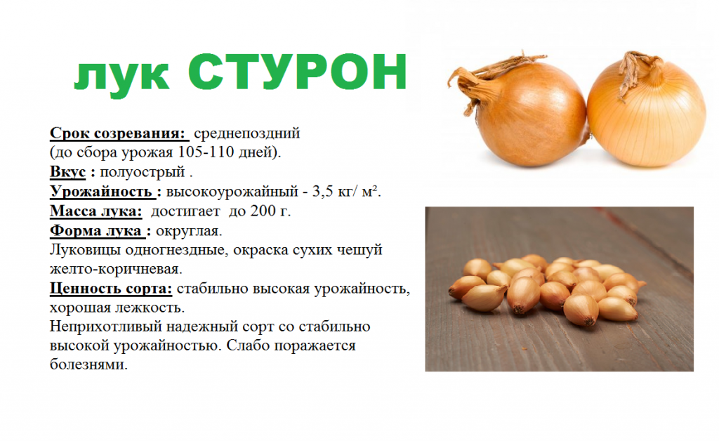 СТУРОН.png