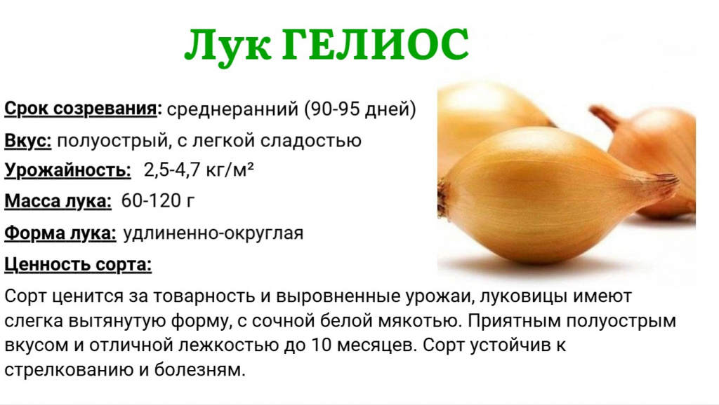 гелиос.jpg